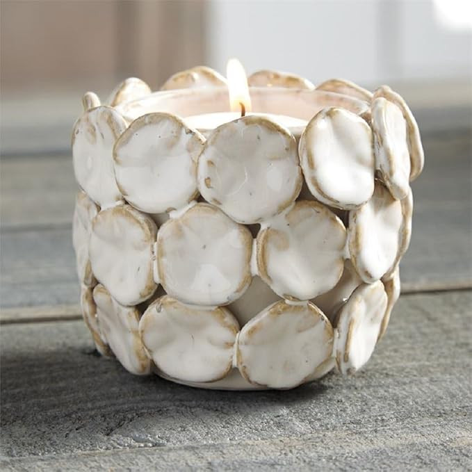 Urchin Encrusted Flower Pot | Amazon (US)