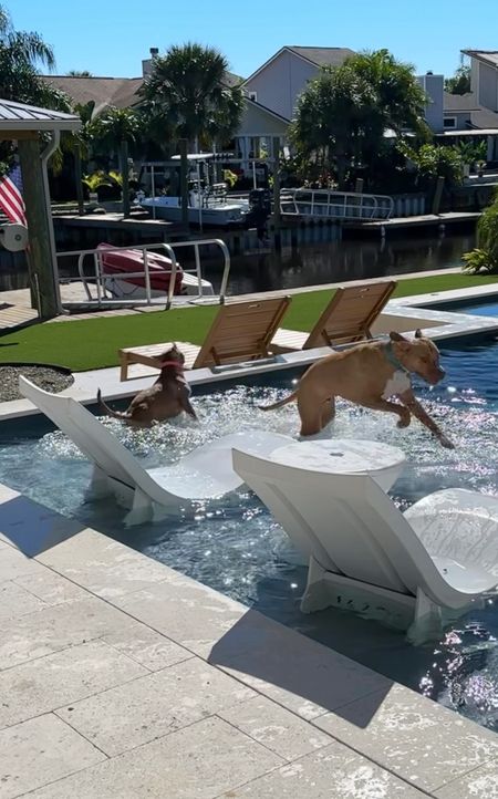 Our outdoor furniture - made for Florida weather! 
HIPS “polywood” chaise lounges in teak brown 
Ledge lounger in pool furniture 
Patio furniture 
Outdoor living 
Backyard design 

#LTKsalealert #LTKhome #LTKSeasonal