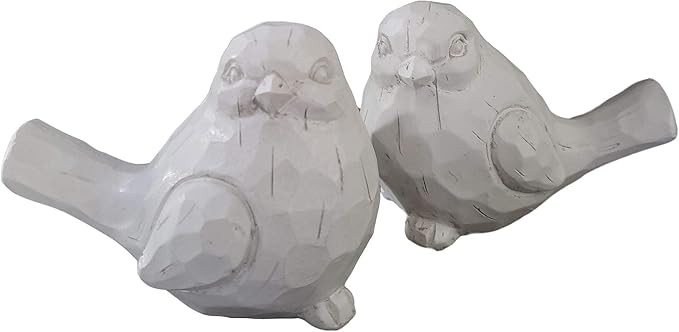 Birch & Bliss Chubby White Modern Farmhouse Birds - Set of 2 - Carved Rustic Distressed Bird Home... | Amazon (US)