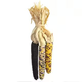 Flint Corn Bundle by Ashland® | Michaels Stores