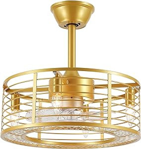 Dannilong Gold Caged Ceiling Fans with Lights, Modern 18 Inch Indoor Enclosed Bladeless Small Fan... | Amazon (US)