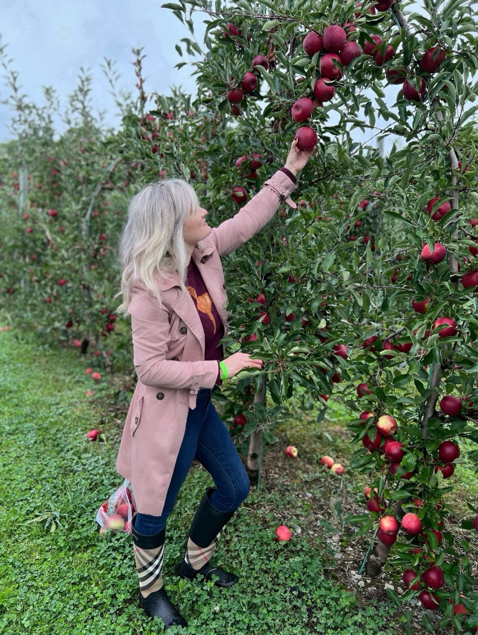 Apple picking in style! 

#LTKSeasonal #LTKStyleTip #LTKShoeCrush
