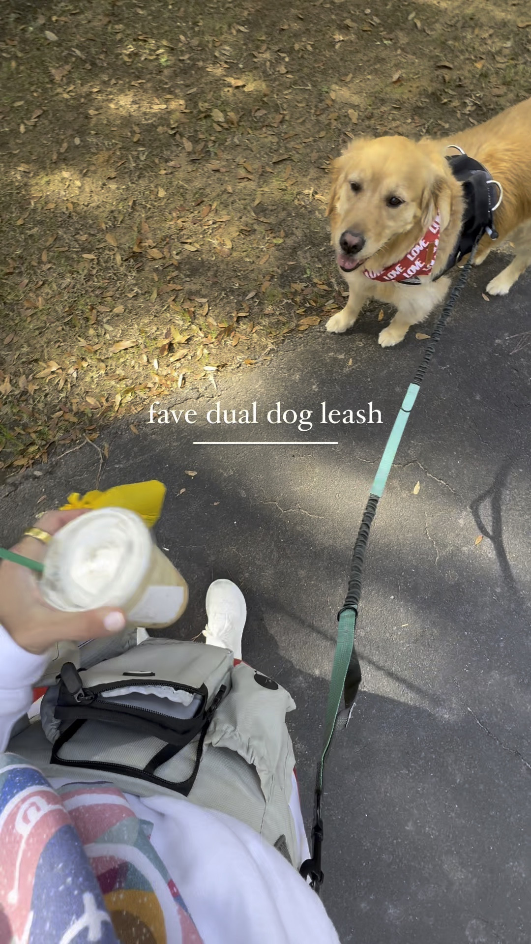 My fave dual dog leash right now🤎🦮🐶🐾 helps them each have their own pace, hands free, fanny pack to carry my phone / protection / poop bags! 

Amazon / dog mom / golden retrievers / pet must haves / essentials / review / dog / Holley Gabrielle / Kaiser and Kollyns faves 

#LTKFindsUnder50 #LTKWatchNow #LTKPets