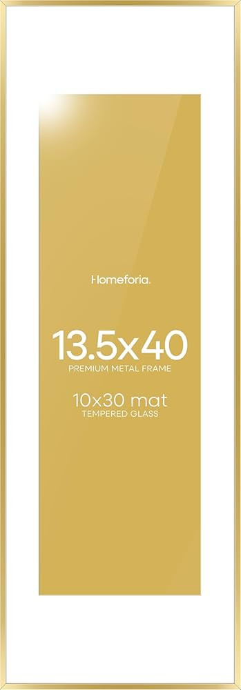 Homeforia 13.5x40 Panoramic Frame Gold, High End Metal 13.5x40 Picture Frames with Mat 10x30 Phot... | Amazon (US)