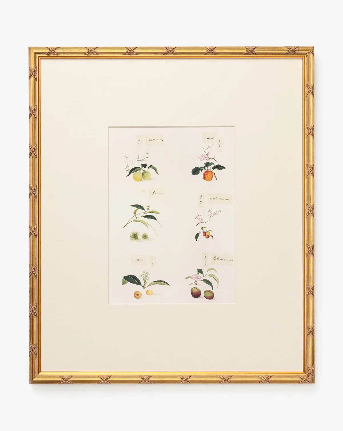 Botanical Grid 1 | McGee & Co. (US)