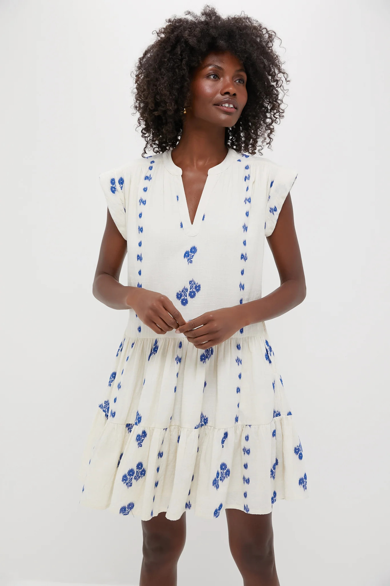 Wicklow Blue Roll Sleeve Mini Dress | Tuckernuck (US)