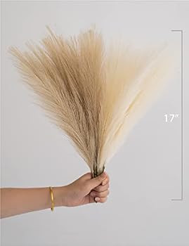 ChagoArt-Pampas Grass Decor Tall-Faux Pampas Grass Small 17"-6 Stems-Beige and Taupe-Brown-Pompas... | Amazon (US)