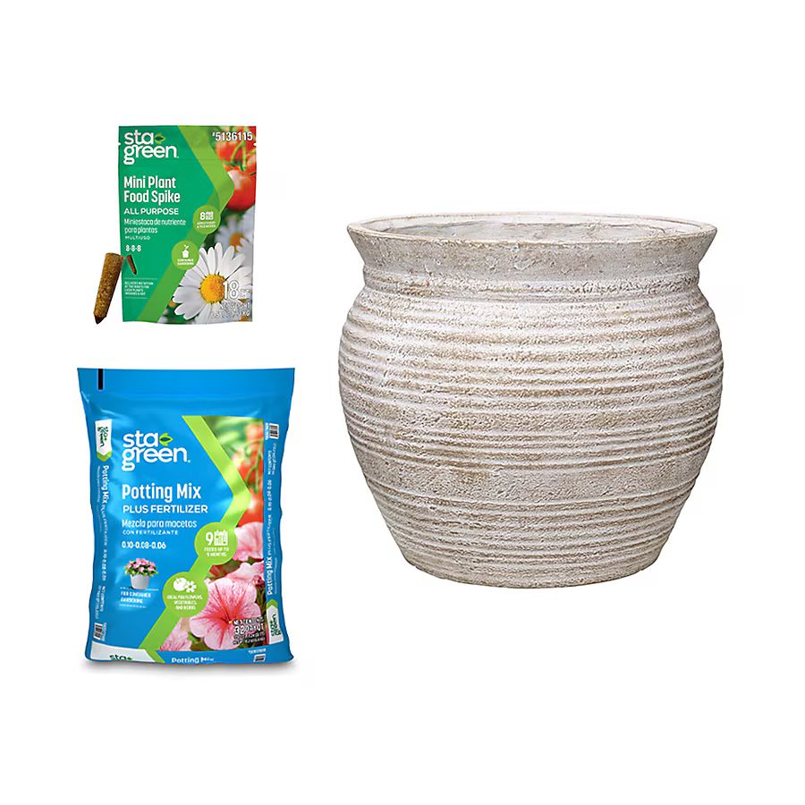 allen + roth allen + roth White Wash Terracotta Planter,  Potting Mix and  Mini Plant Food Spikes | Lowe's