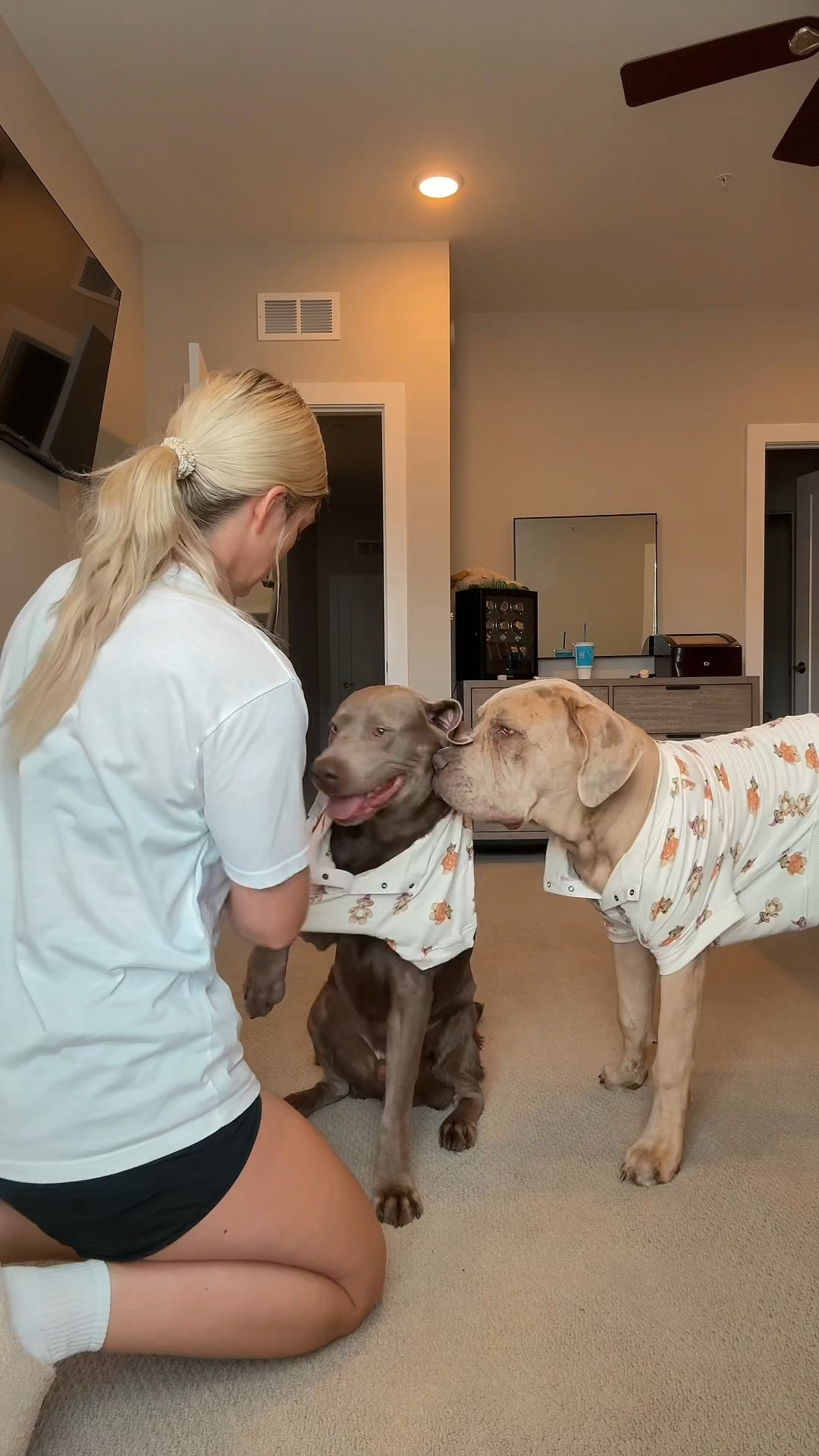 Matching fall PJ pet set🍁🍂🔥🐶


Match pet pajamas, fall finds, dog pjs, fall fog accessories, owner and pet set, dog pajamas, 

#LTKPets #LTKFallSale #LTKSeasonal