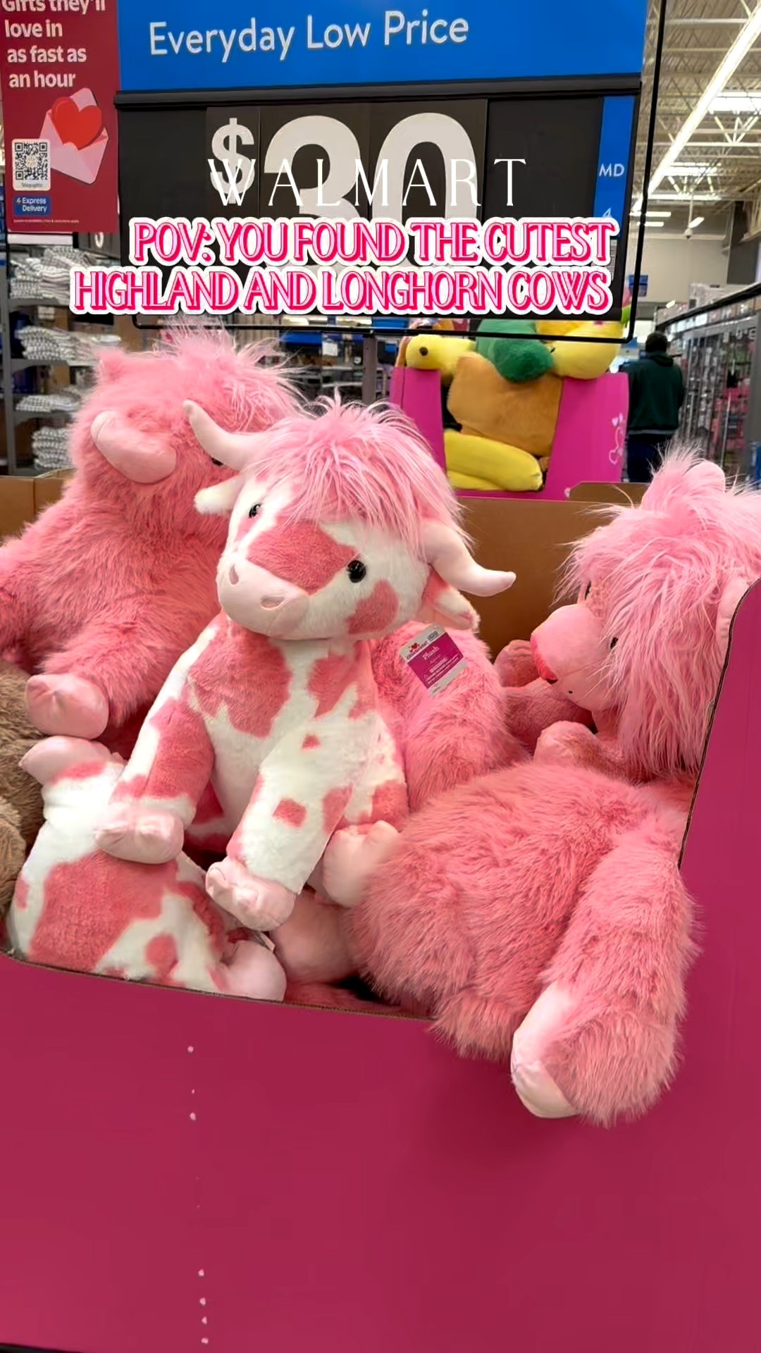 pink cows 💕💞🐮 #walmart #walmartfinds #valentine #valnetinesday #highlandcow

#LTKGiftGuide