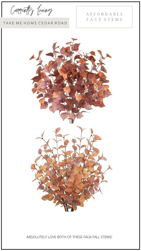AMAZON FINDS 

love these super affordable fall faux stems!! 

Fall decor, fall, faux stems, home decor, table decor, shelf decor, living room, bedroom, dining room, entryway, kitchen, amazon home, amazon finds 

#LTKhome #LTKunder50 #LTKSeasonal