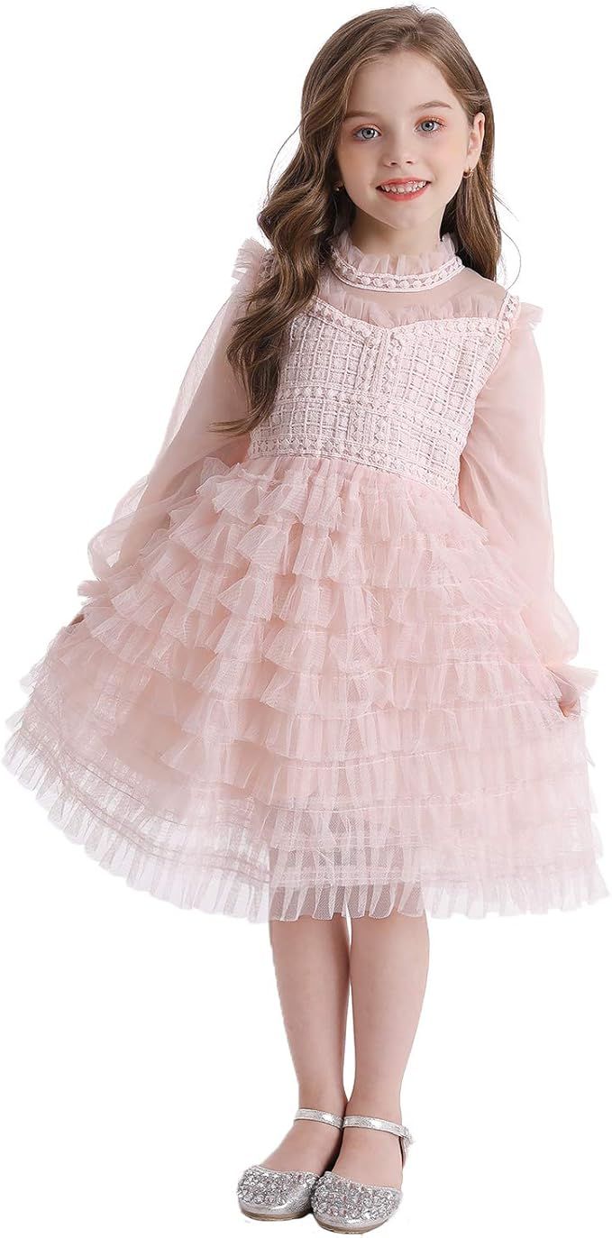 TTYAOVO Little Girls Long Sleeves Casual Birthday Dress with Tutu Skirt | Amazon (US)