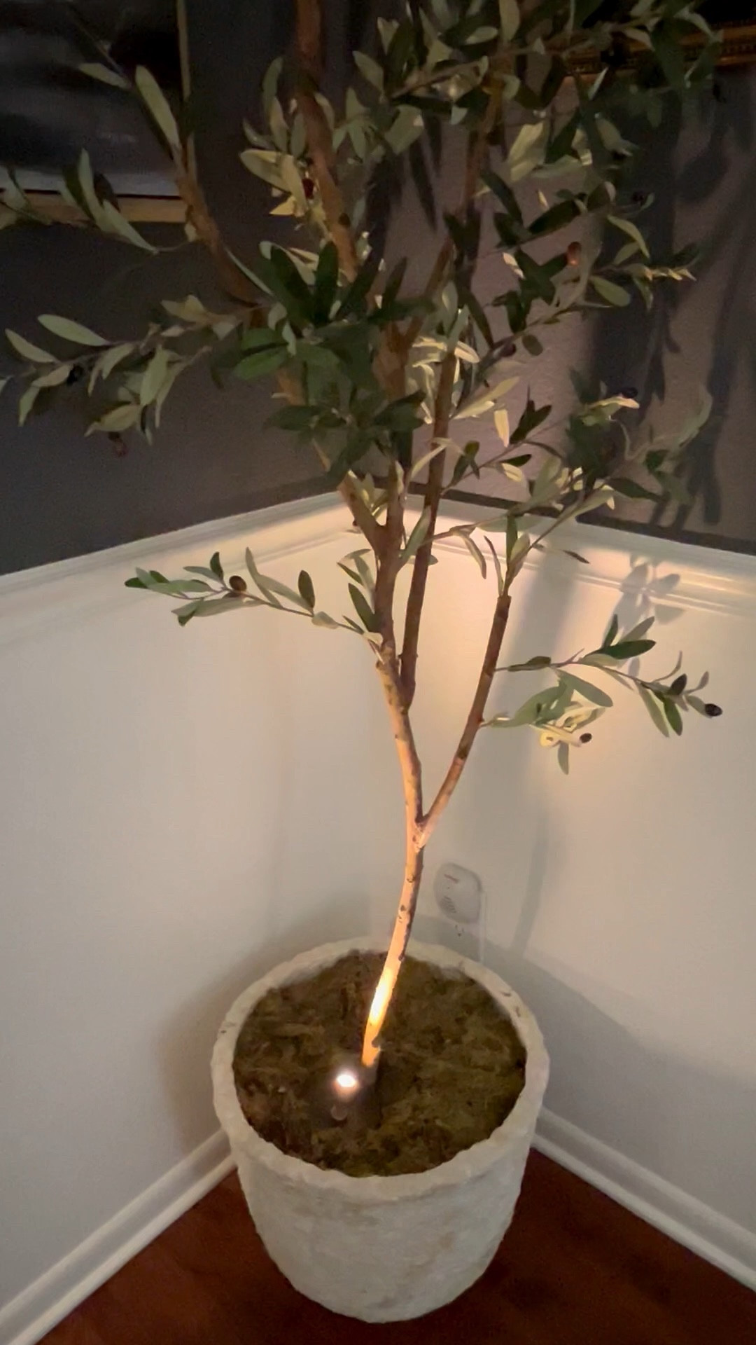Add greenery to your space with this lovely faux olive tree!
#homedecor#lighting

#LTKSeasonal #LTKHome #LTKspring
