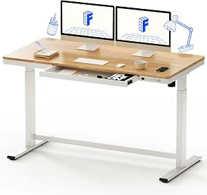 FLEXISPOT 55" Electric Standing Desk with Drawers, Quick Assembly Home Office Sit Stand Desk with... | Amazon (US)