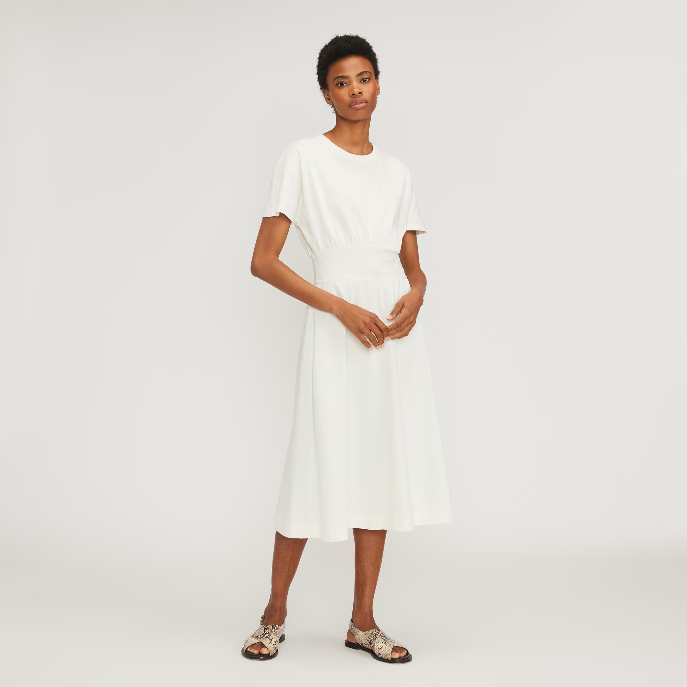 The Organic Cotton Waisted Dress | Everlane