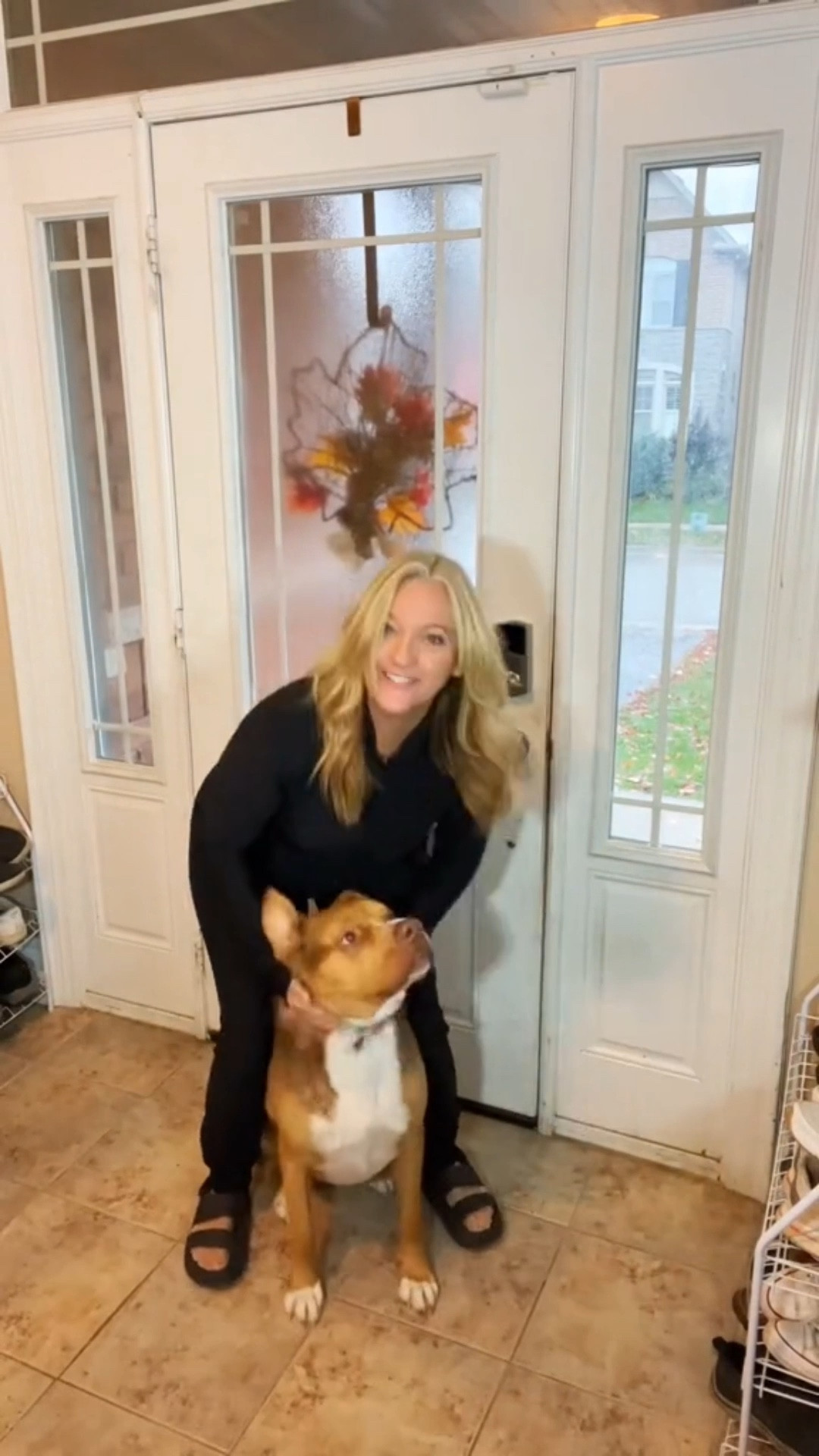Good thing these Halara leggings are pet hair resistant.  

#LTKHoliday #LTKActive #LTKmomlife