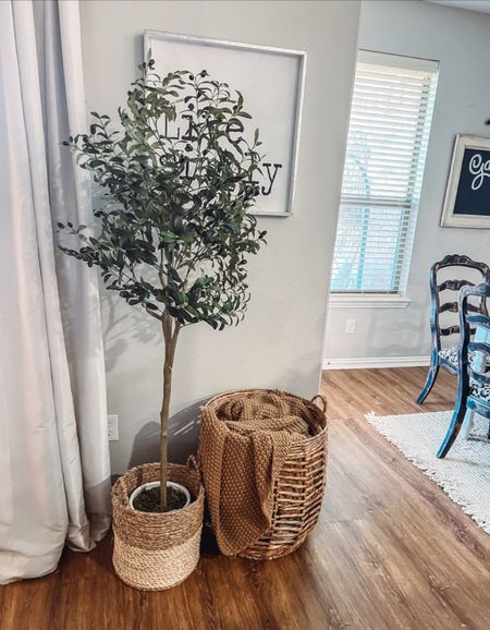 Olive tree on sale at @qvc for under $100.  New customer code HELLO20 for $20 off $40 or more.  #loveqvc #ad

#LTKhome #LTKfindsunder100 #LTKsalealert