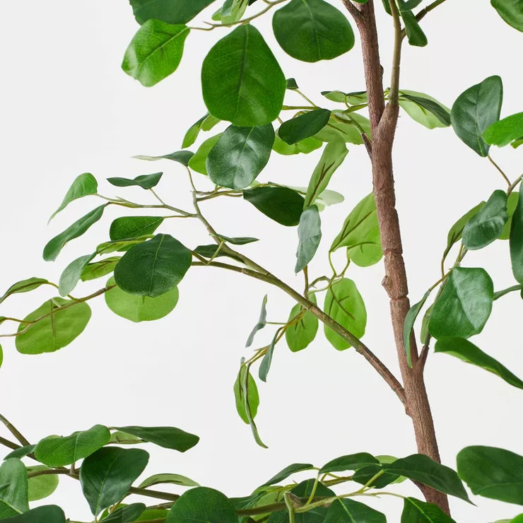 Triangle Ficus Tree - Threshold™ designed with Studio McGee | Target