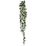 Vickerman 65" Artificial Green Fittonia Hanging Bush - Faux Indoor Plant Bush - Greenery For Home Or | Amazon (US)