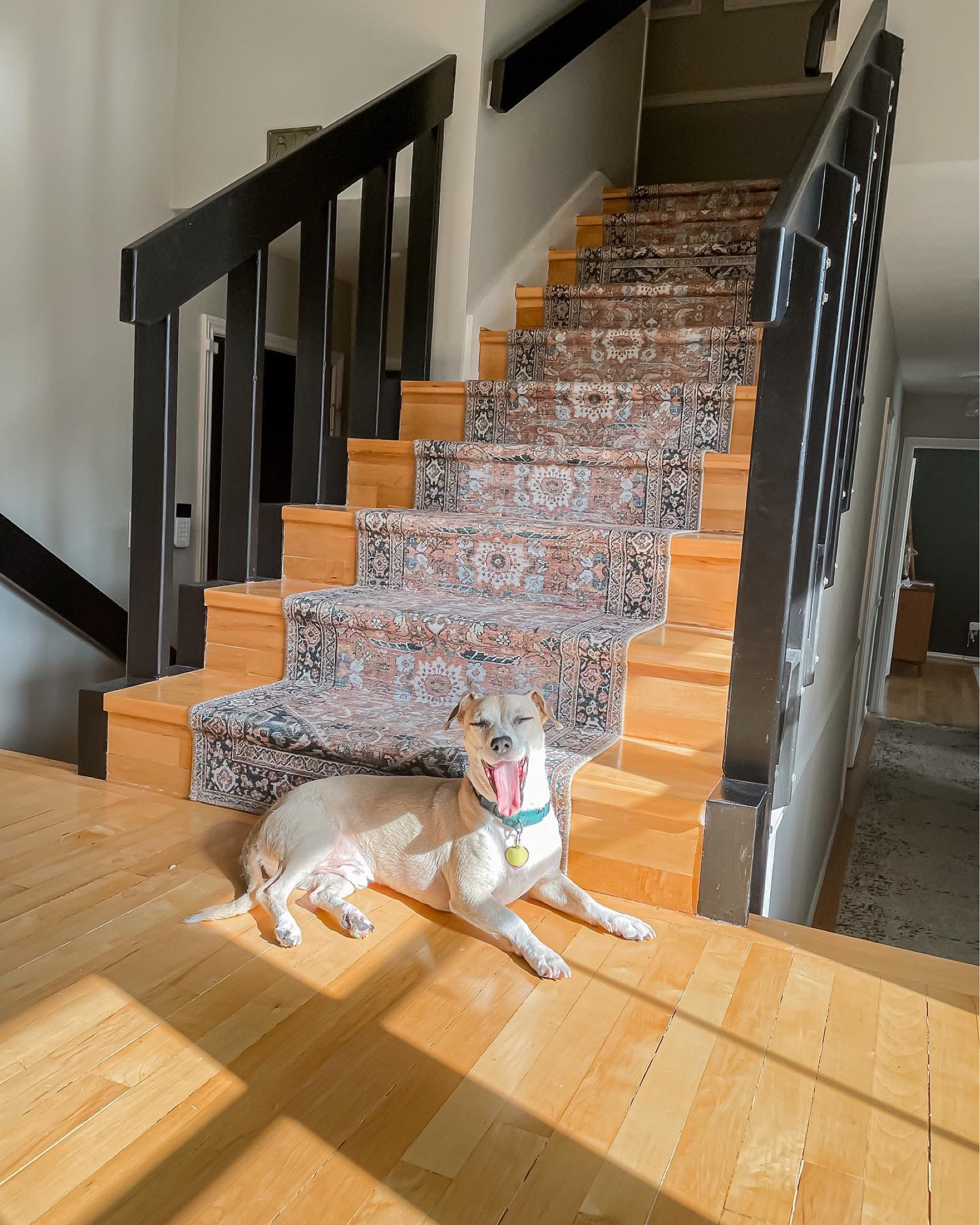 Loloi runner perfect for stairs. 


#LTKsalealert #LTKunder100 #LTKhome