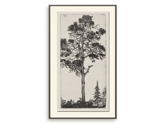 Vintage Pine Tree Drawing Antique Botanical Wall Art Muted | Etsy | Etsy (US)