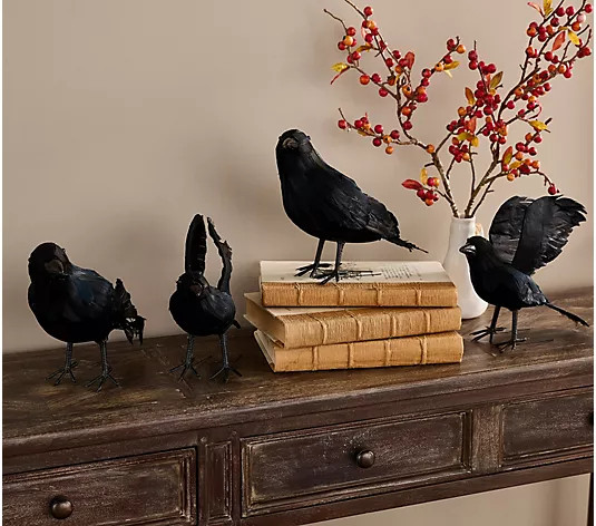 Simply Stunning Set of 4 Decorative Ravens by Janine Graff | QVC