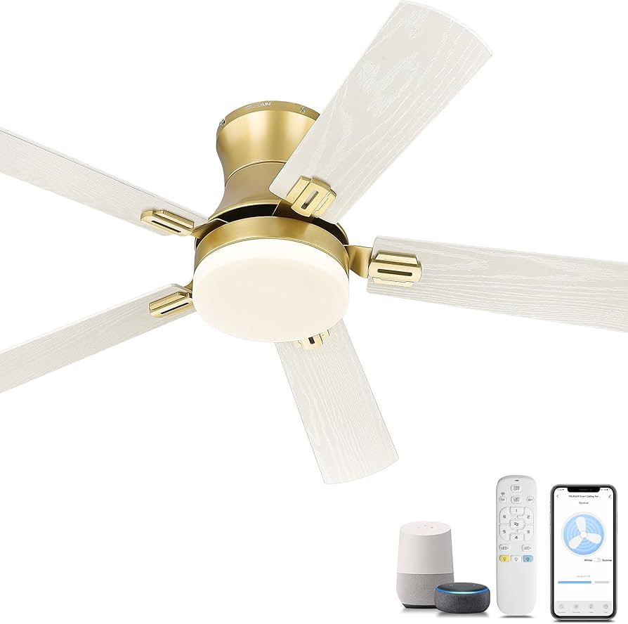 YOUKAIN Ceiling Fans with Lights, 52 inch Low Profile Ceiling fan with Remote Control and App Con... | Amazon (US)