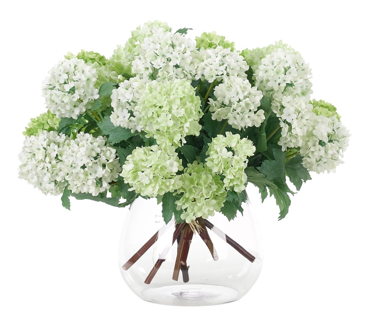 Hydrangea | Moda Operandi (Global)