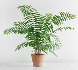 Faux Sword Fern | Pottery Barn (US)