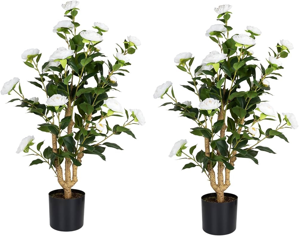 Romantic Season 2Pack Artificial Camellia Tree 3FT, White Faux Camellia Plant Fake Potted Camelli... | Amazon (US)