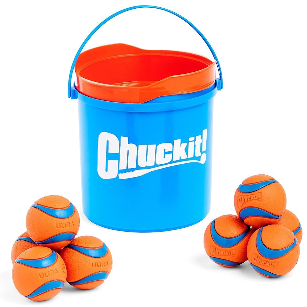 Chuckit! Ultra Ball Dog Toy with Chuckit! Cleaning Bucket Bundle, Bouncy Fetch Pet Toys For Dogs ... | Amazon (US)