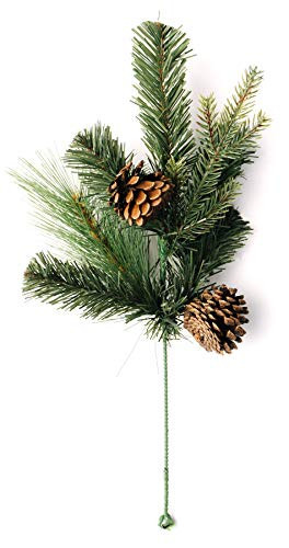 CraftMore Highland Park Pine Pick Set of 6 | Amazon (US)