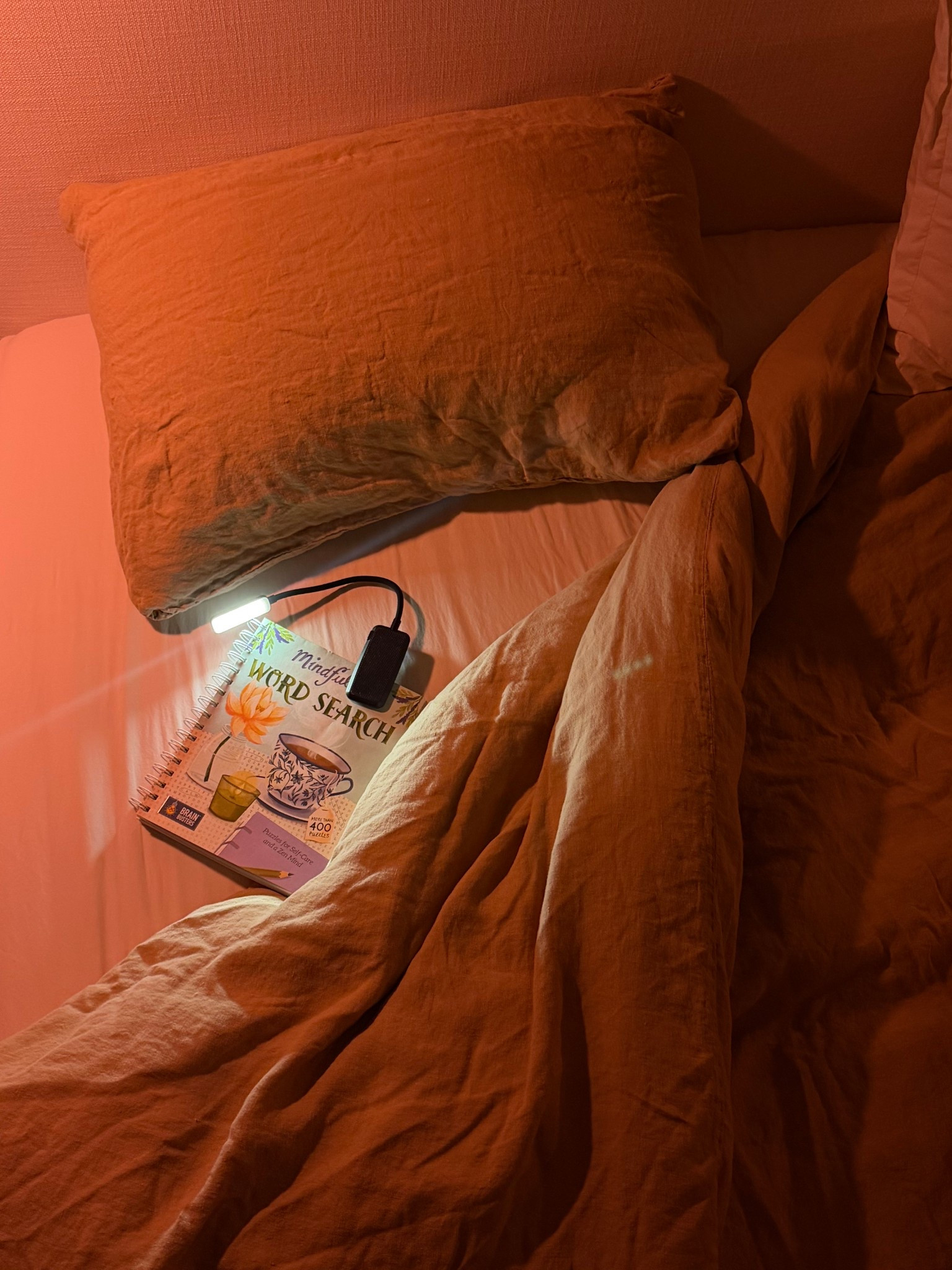 Word puzzle before bed 
