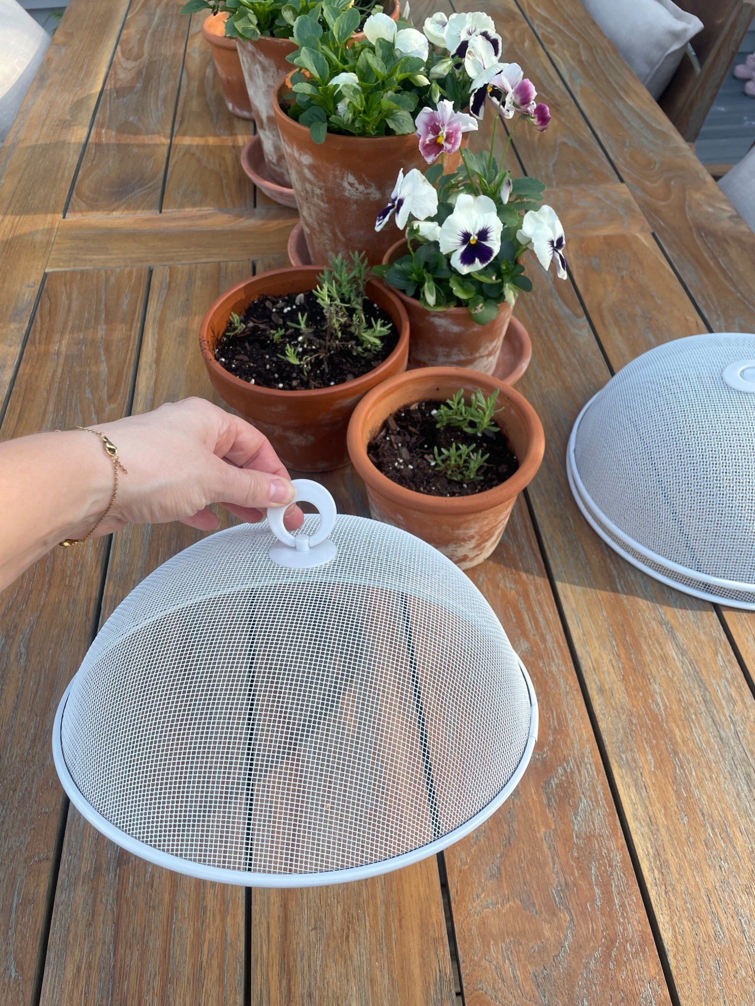 Elevating everyday outdoor moments with simple, functional pieces 🤍
These mesh food covers are one of those small upgrades that make such a difference—keeping everything clean without ruining the look of your table. Paired with classic terracotta pots and fresh spring blooms for that effortless, lived-in feel.

#outdoordecor #patiostyling #gardenpots #outdoorentertaining #springdecor

outdoor entertaining essentials, patio table styling, mesh food covers outdoor, outdoor dining setup, spring patio decor, terracotta pots styling, herb garden pots, outdoor hosting ideas, garden table aesthetic, spring outdoor decor, neutral outdoor styling, simple outdoor upgrades, backyard table setup, functional outdoor decor, casual entertaining ideas

#LTKHome #LTKSeasonal #LTKSaleAlert