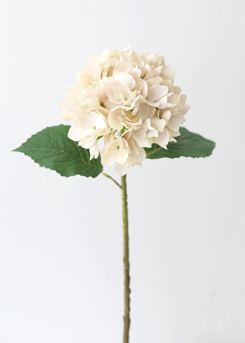 Beige Artificial Hydrangea Flower - 19 | Afloral (US)