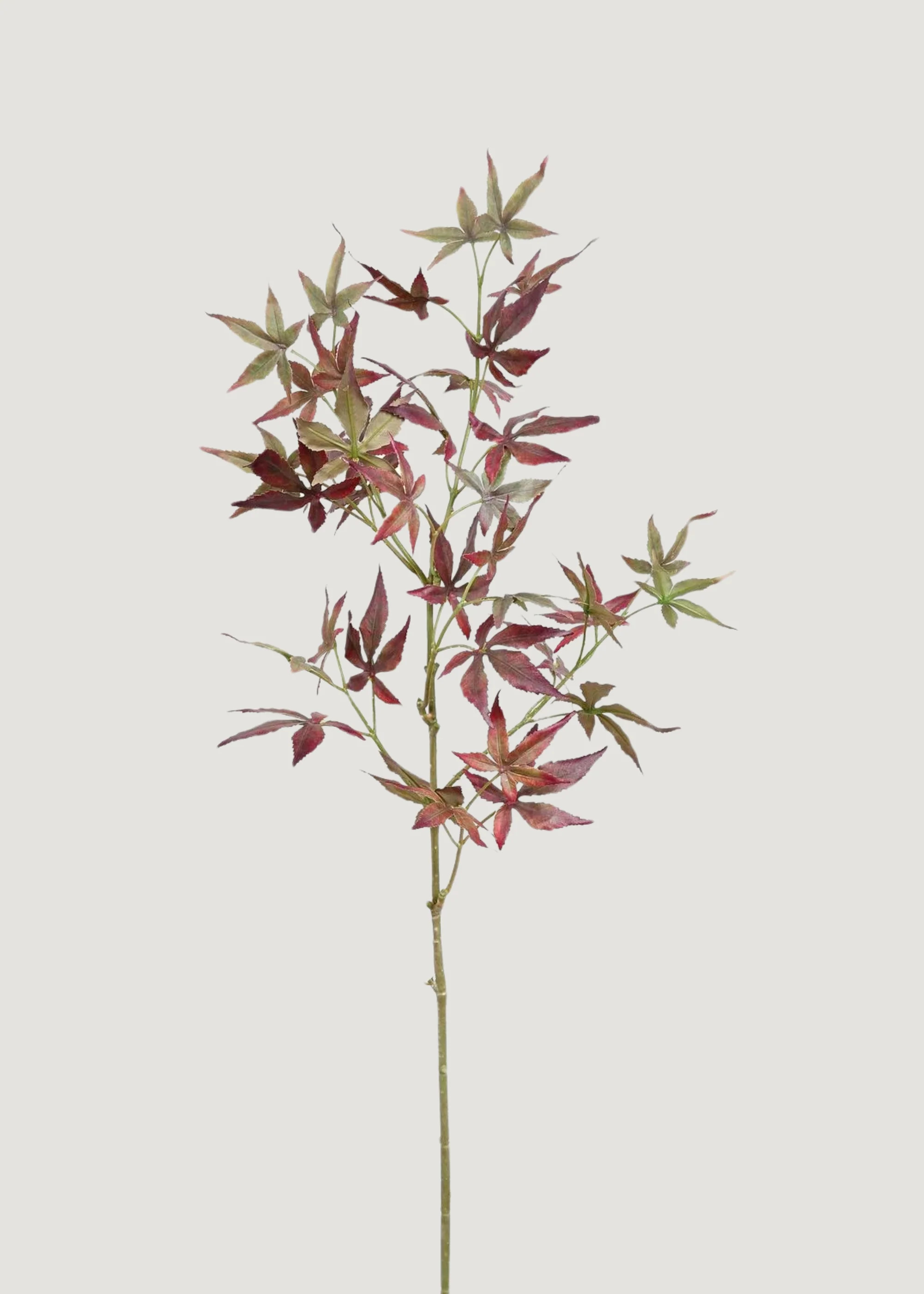 Fake Japanese Maple Leaf Branch in Fall Burgundy Green - 39 | Afloral