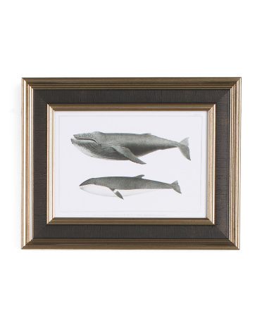 11x14 Two Whales Framed Wall Art | Marshalls