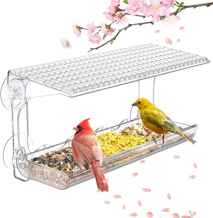 Window Bird Feeder for Outdoors, Clear Bird Feeders Window Mounted with Strong Suction Cups, Tran... | Amazon (US)
