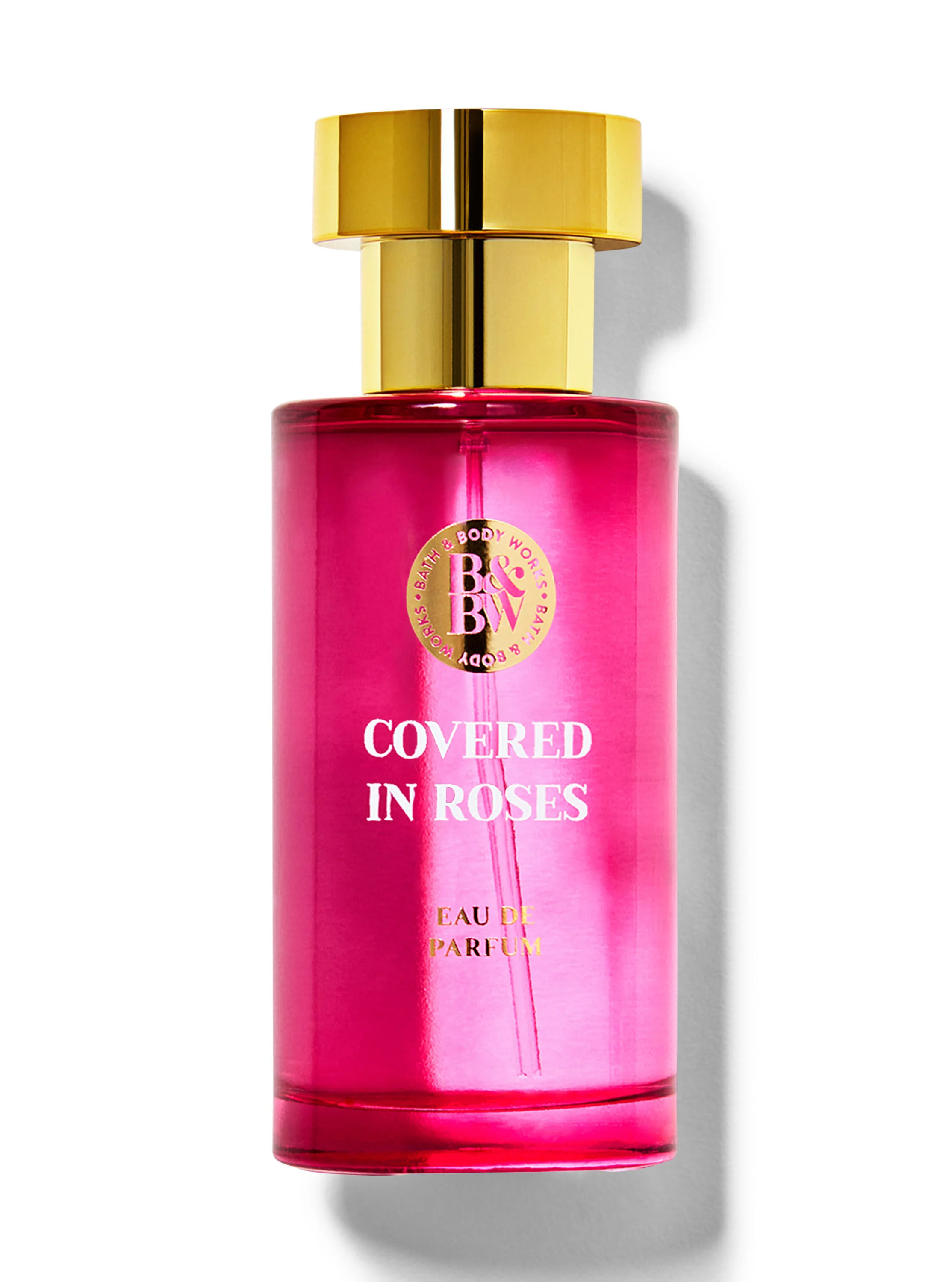 Covered In Roses


Eau de Parfum | Bath & Body Works