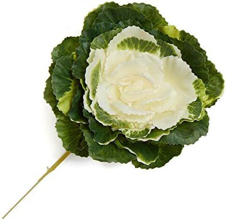 Factory Direct Craft Artificial Decorative Cabbage Pick | 2 Pieces | Amazon (US)