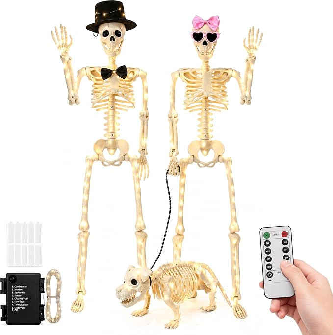 3PC Halloween Skeleton Decorations,2 3FT Life Size Skeletons & Skeleton Dog | Amazon (US)