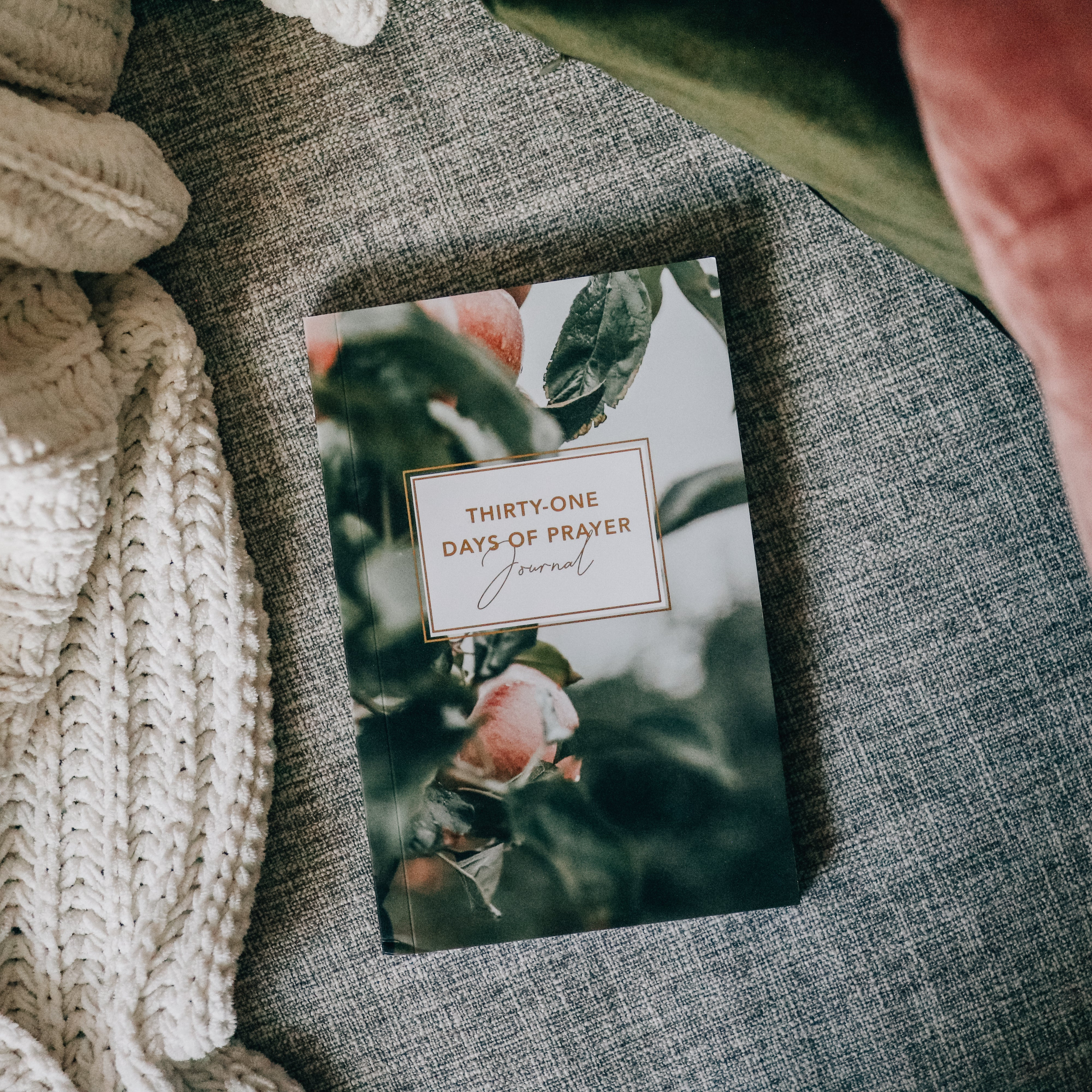 Thirty-One Days of Prayer Journal | The Daily Grace Co.