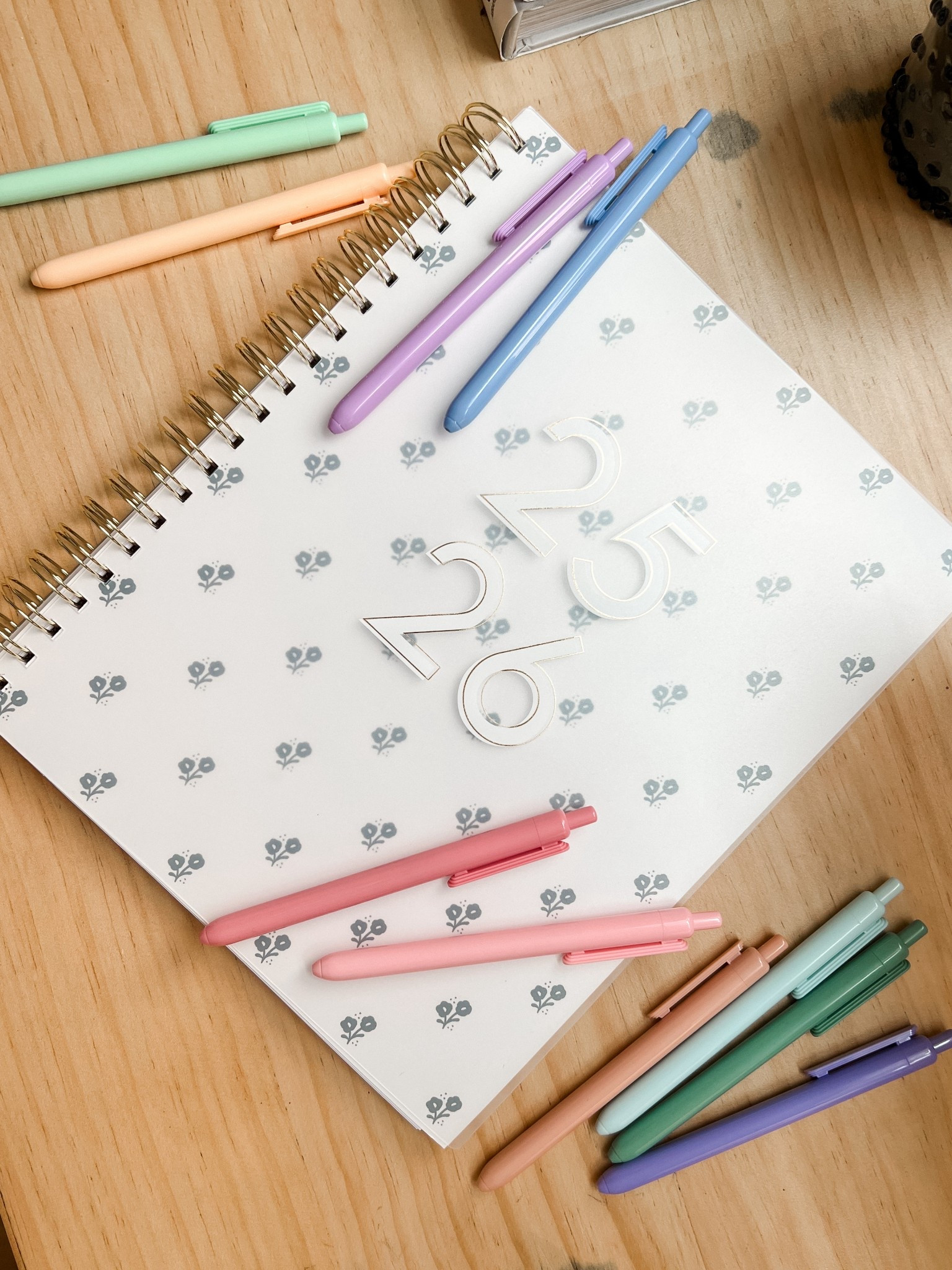 Obsessed with my cute new day planner that starts in July. It has the best balance of organization & goal setting. Plus these cute pens are on sale now for under $10 🩵💛💗💜💚 

#LTKWorkwear #LTKSaleAlert #LTKOver40