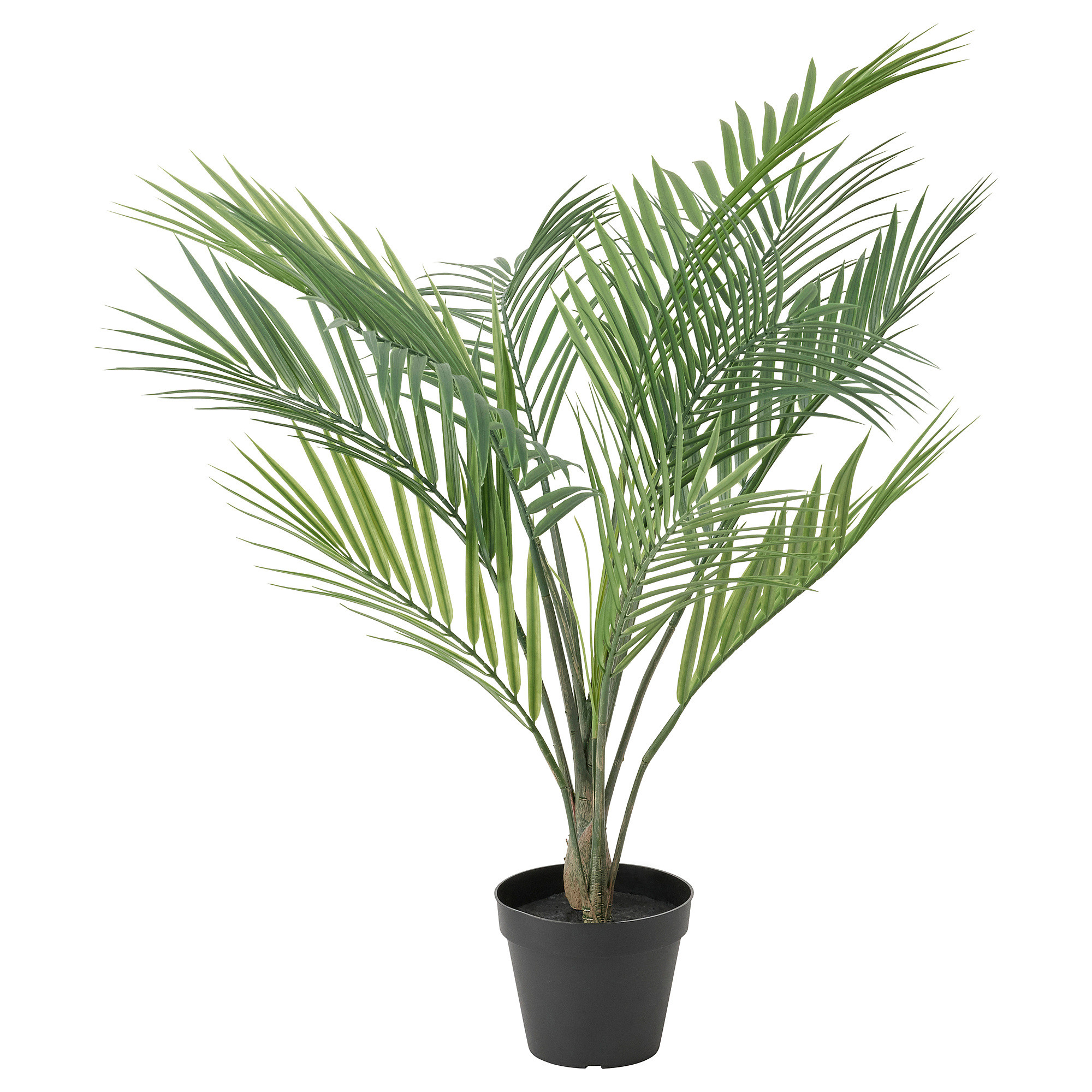 FEJKA Artificial potted plant, indoor/outdoor Areca palm, 4 ¾ " | IKEA US