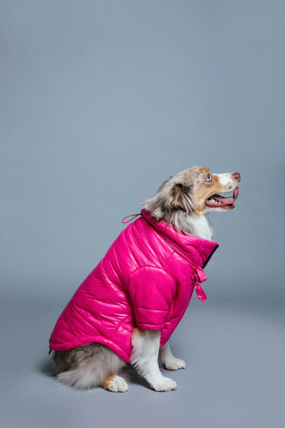 Glossy Puffer Jacket | max-bone