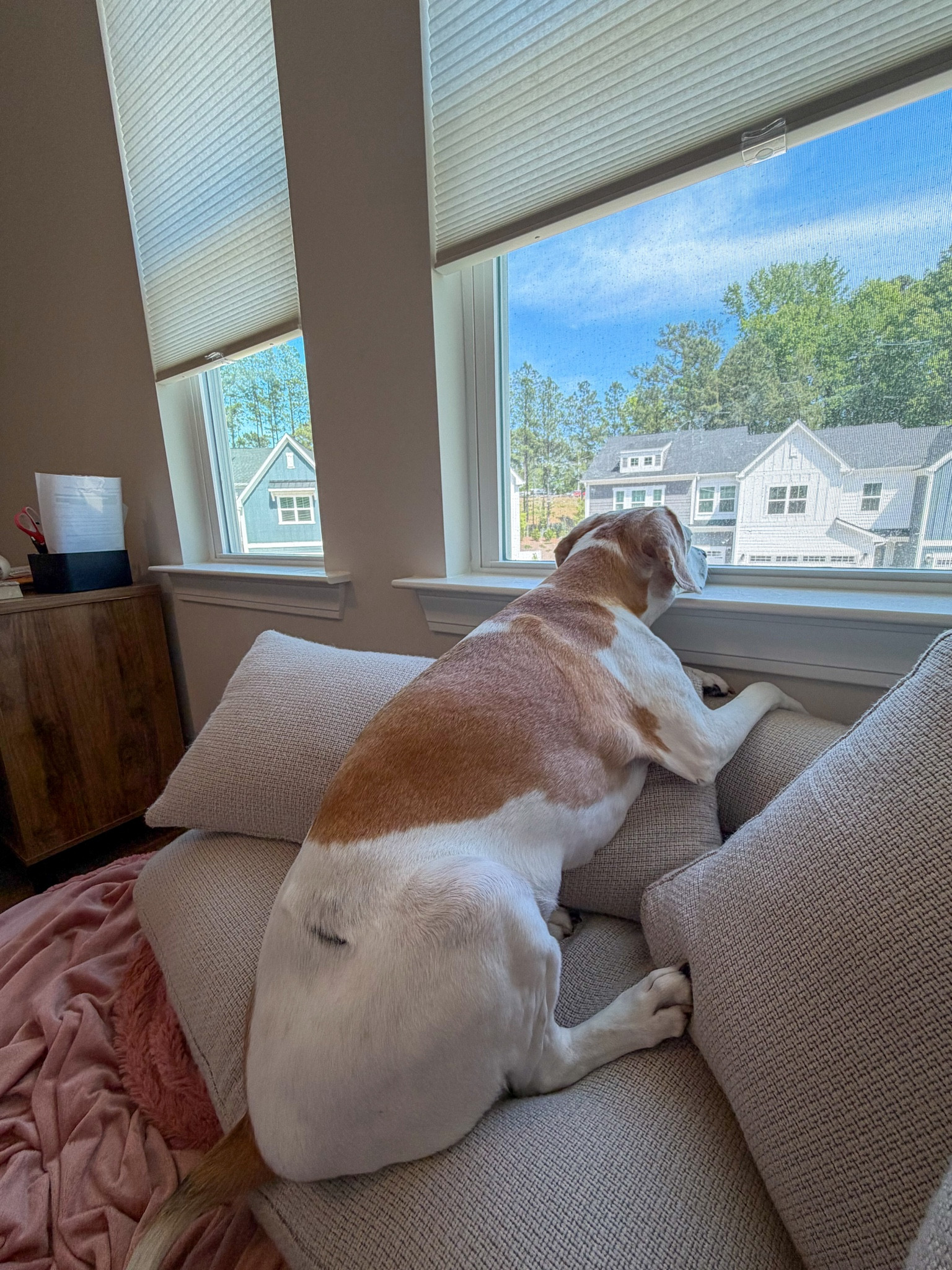 Oversized accent chair aka Sunny’s favorite spot 😝

#LTKHome
