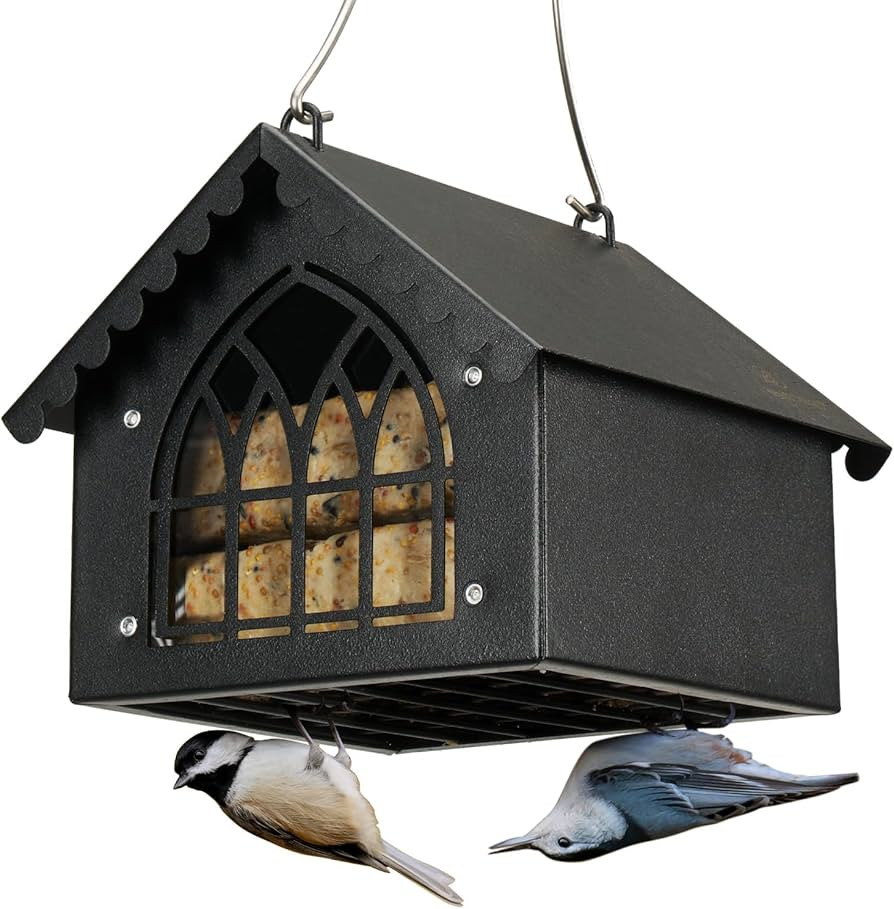 Kingsyard Double Suet Bird Feeder with Weatherproof Roof, All Metal, Upside Down Suet Feeders for... | Amazon (CA)
