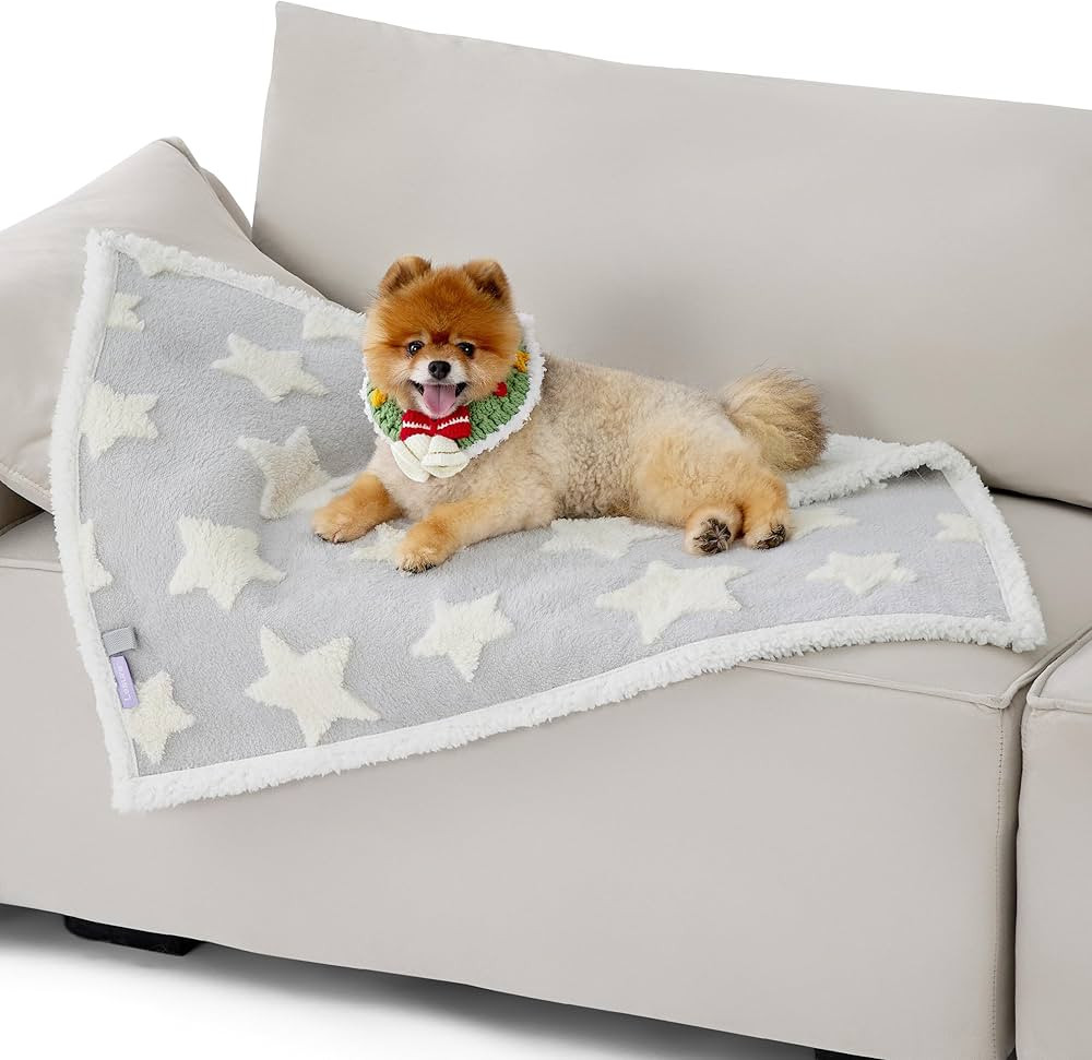 Lesure Waterproof Dog Blanket for Small Dogs - Washable Double Sided Dog Blankets with Warm Jacqu... | Amazon (US)