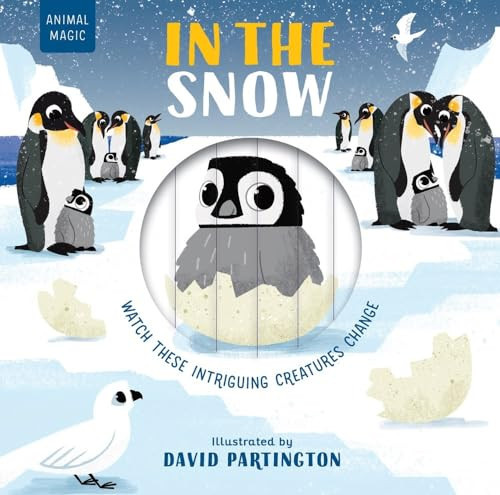 In the Snow (Animal Magic) | Amazon (US)