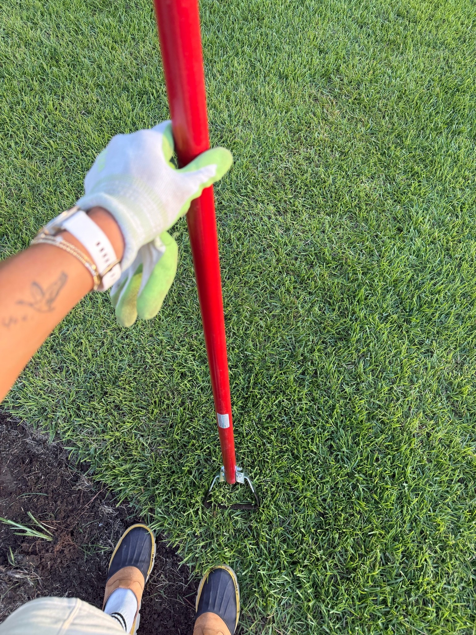 One of our fave garden tools for LOTS of weeds! Seriously game changer😅🌱 linked our exact Ace version but also an Amazon one! 

Gardening / DIY / outdoor / home / Holley Gabrielle

#LTKHome #LTKSeasonal